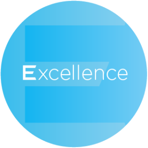 excellence h